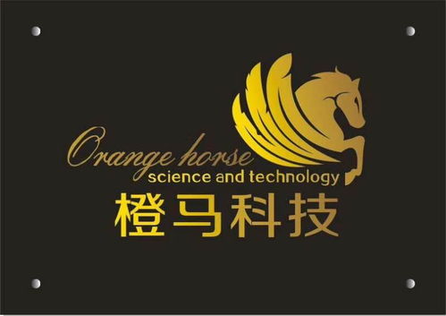 惠州市橙馬網(wǎng)絡科技