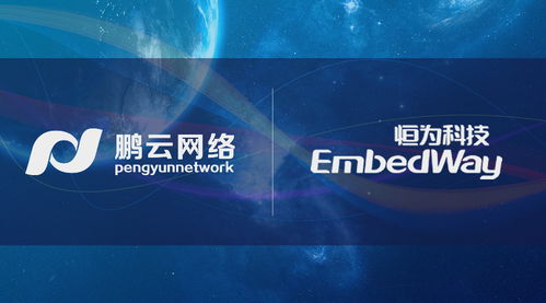 先行一步 鵬云網(wǎng)絡攜手恒為科技開展國產(chǎn)自主可控SDS前瞻性研究